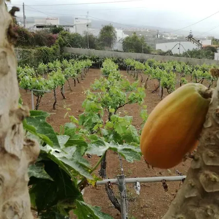 Cosy With Panoramic Views In Icod De Vinos 70m² * イコー・デ・ロス・ビノス