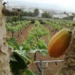 Cosy With Panoramic Views In Icod De Vinos - 70m² * Icod De Los Vinos